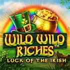 Wild Wild Riches game cover